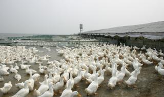 武汉市农业局 武汉市农业局